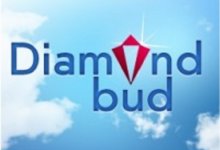 ��� ������� ��� (Diamond Bud)